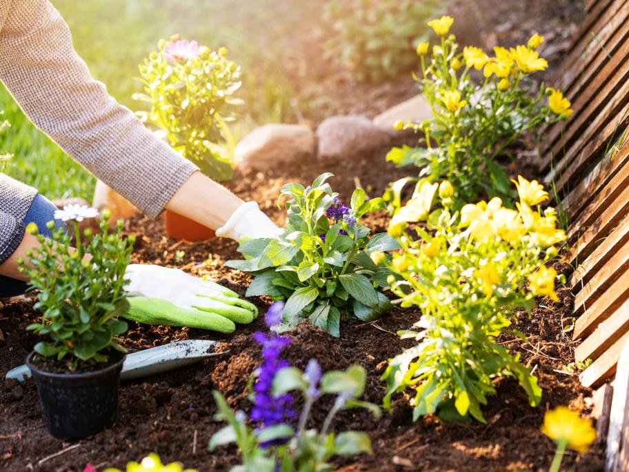 Gardening