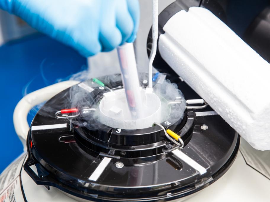 freezing embryos