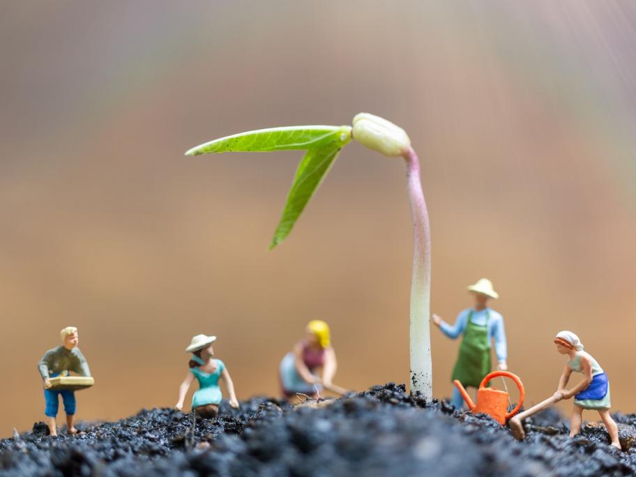 gardening
