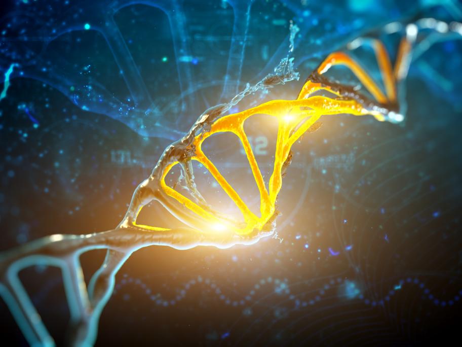 DNA