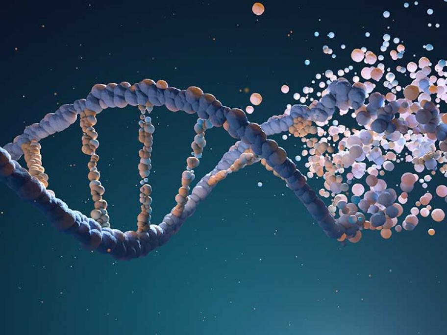 DNA