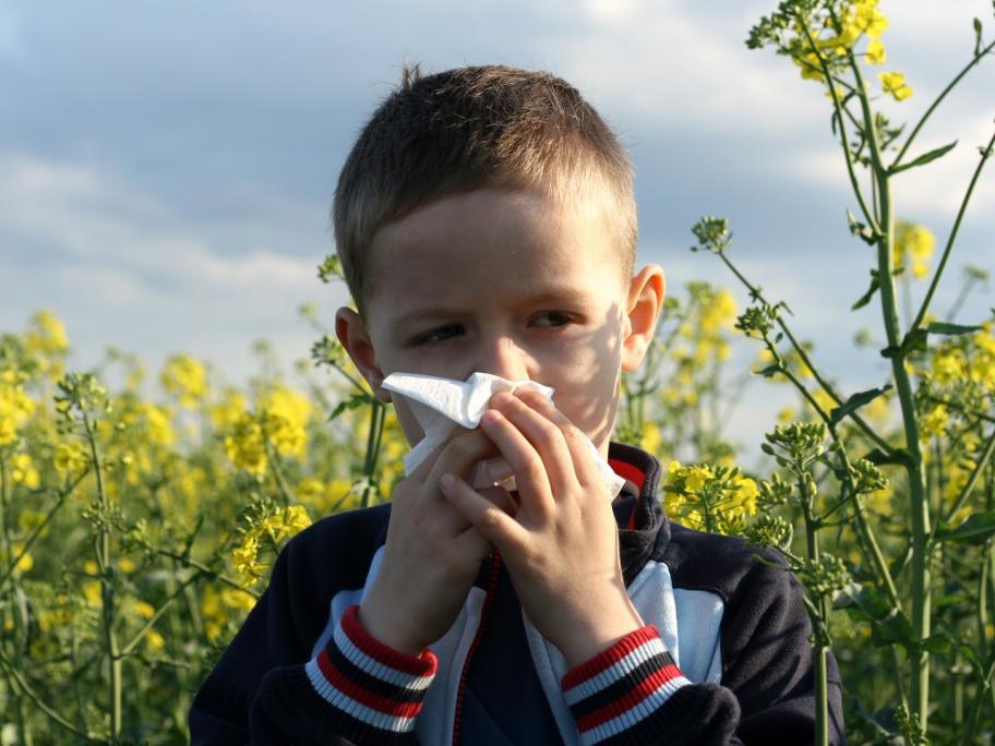 Pollen