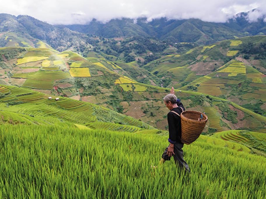 indonesia