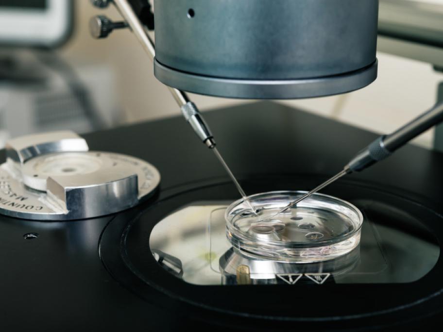 IVF: cells being manipulated udner a microscope