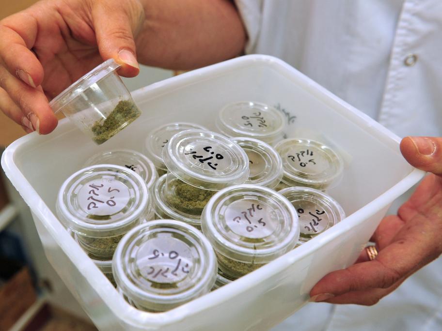 Medical cannabis