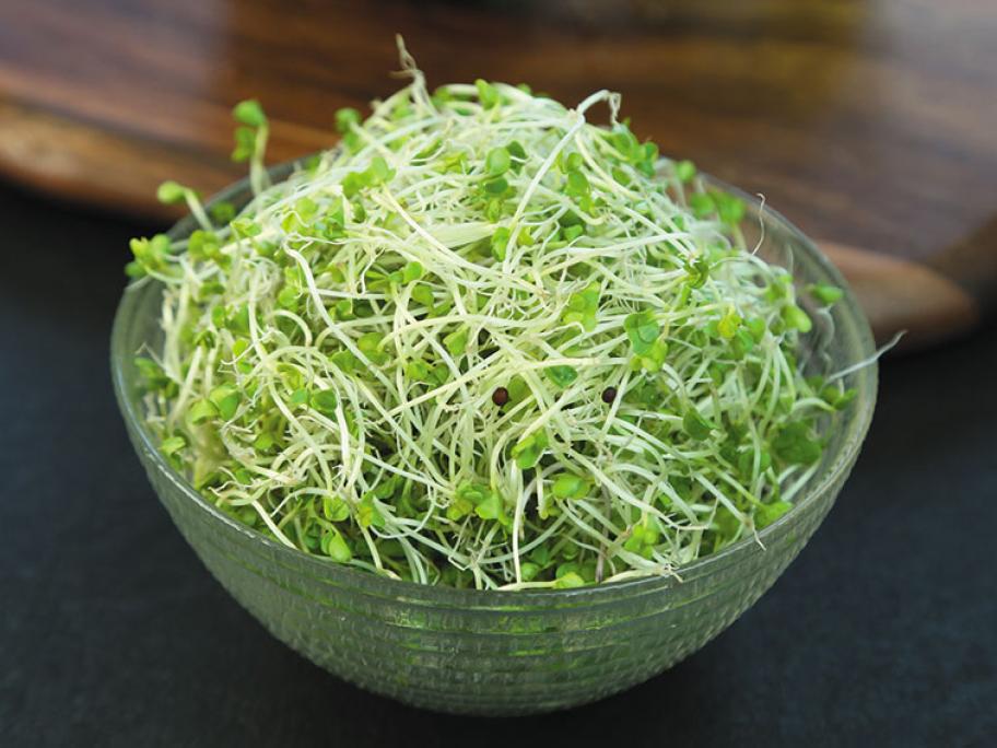 Broccoli sprouts