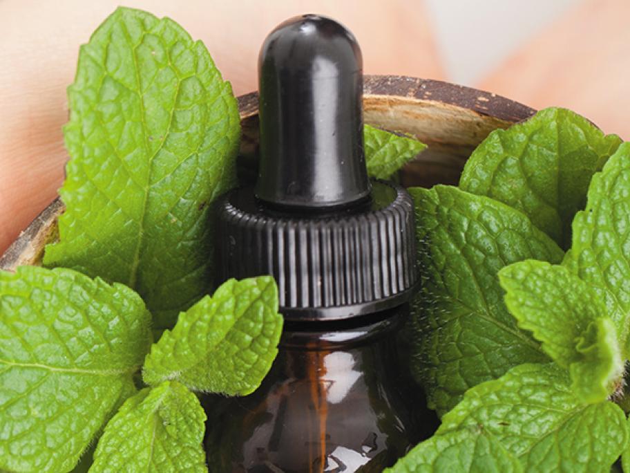 Peppermint