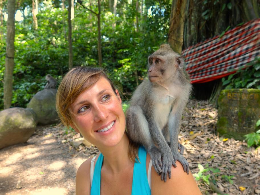 Monkey