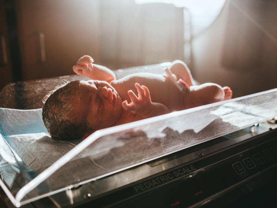 Newborn
