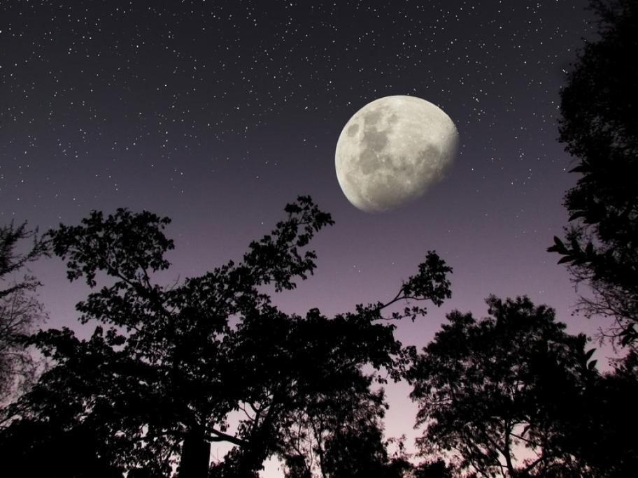 night time - moon