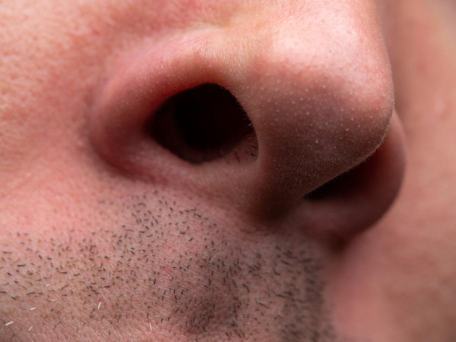 Nose