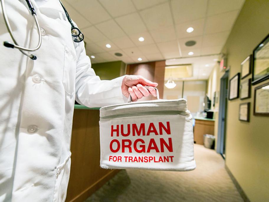 organ donor