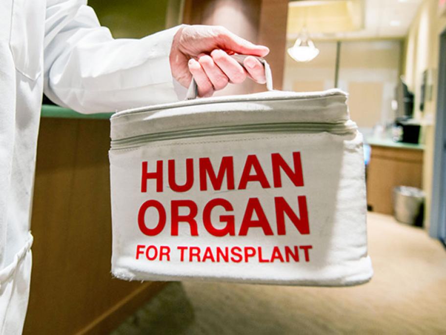 donor