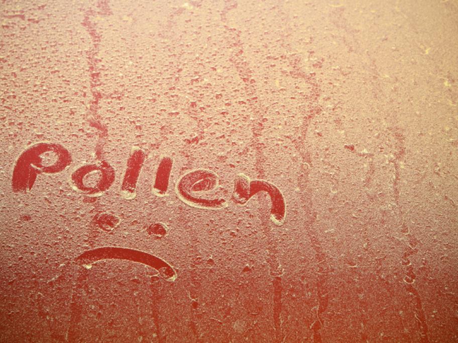 Pollen