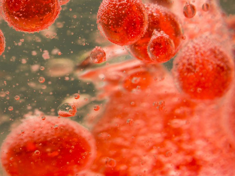 Red blood cells