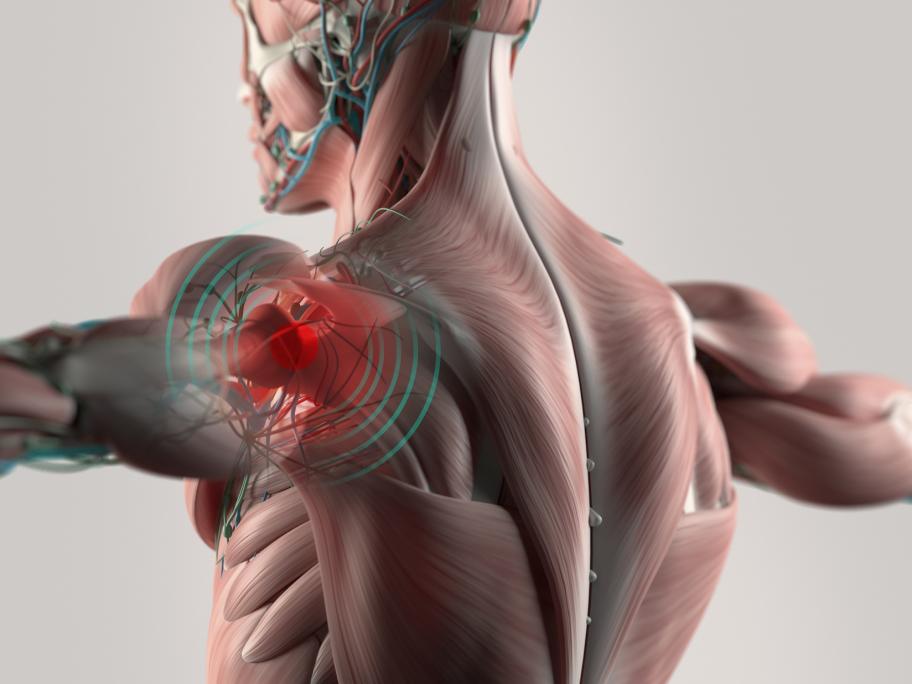 shoulder pain