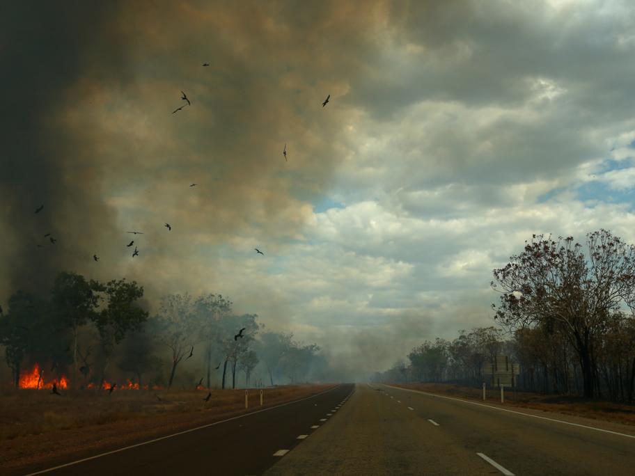 Bushfire