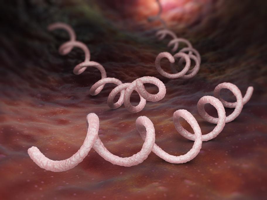 Congenital syphilis warning as cases among young women surge