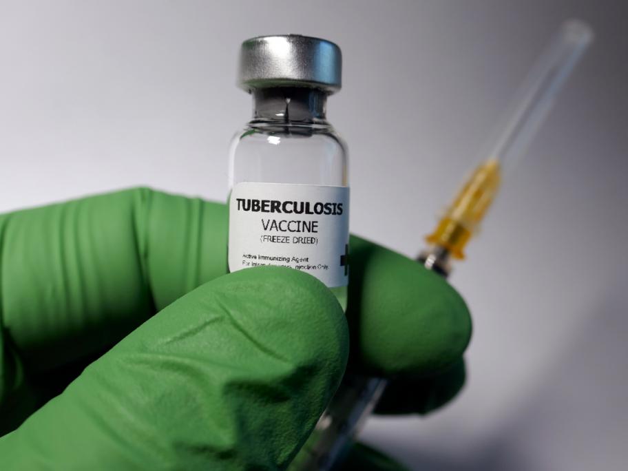 Could the TB vaccine boost COVID-19 immune response?