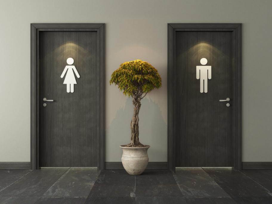 Toilet door