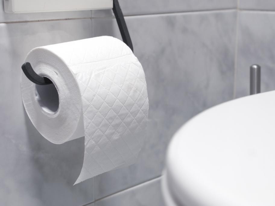 toilet roll and toilet