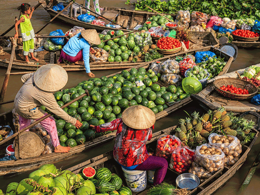 vietnam