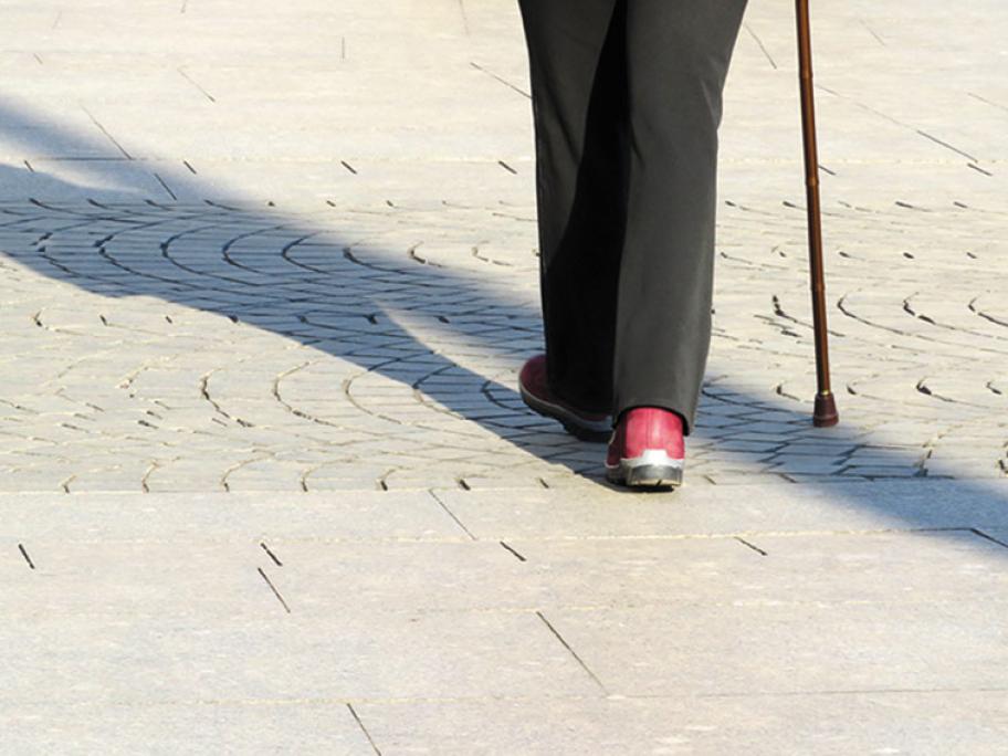 walking stick