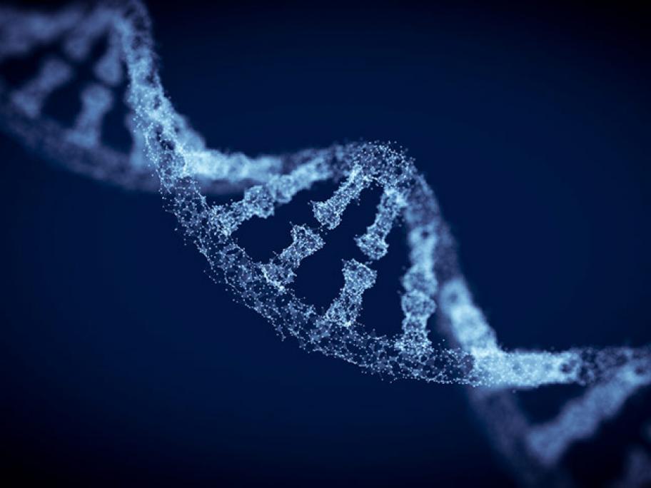 DNA