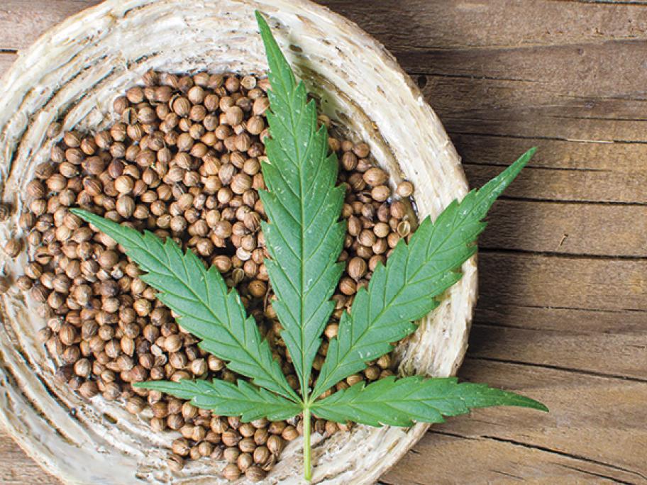 hemp seed