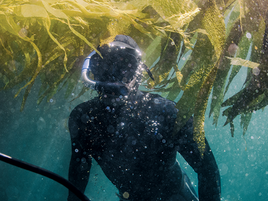 scuba diver