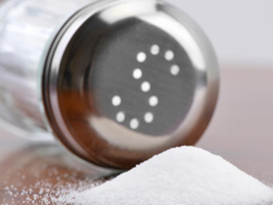 Salt shaker