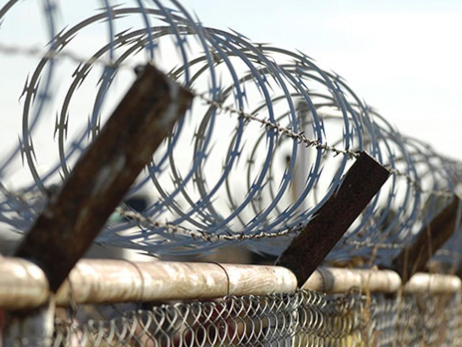 barbed wire