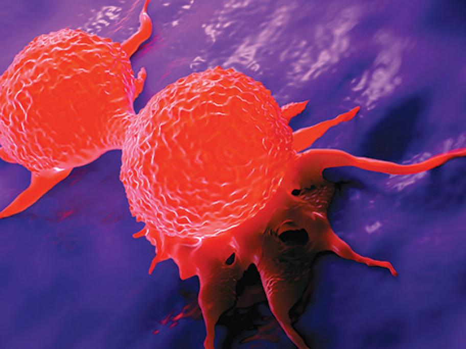 breast cancer cells