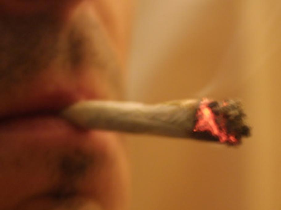 Cannabis