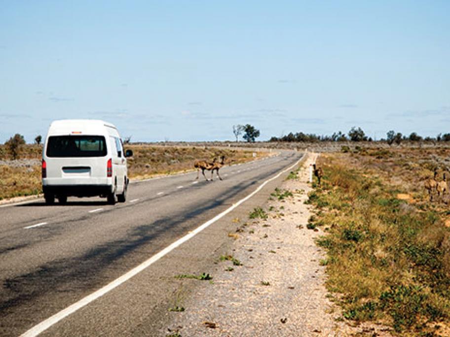 rural road