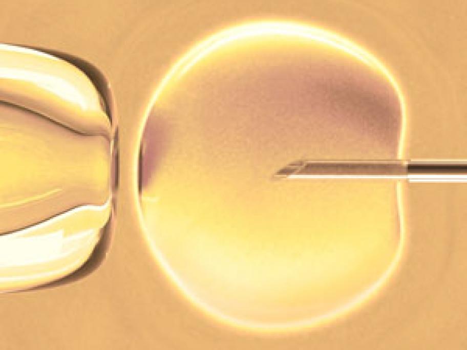 IVF