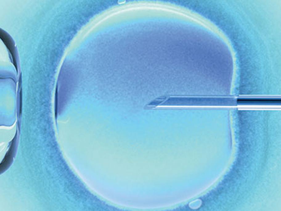 IVF