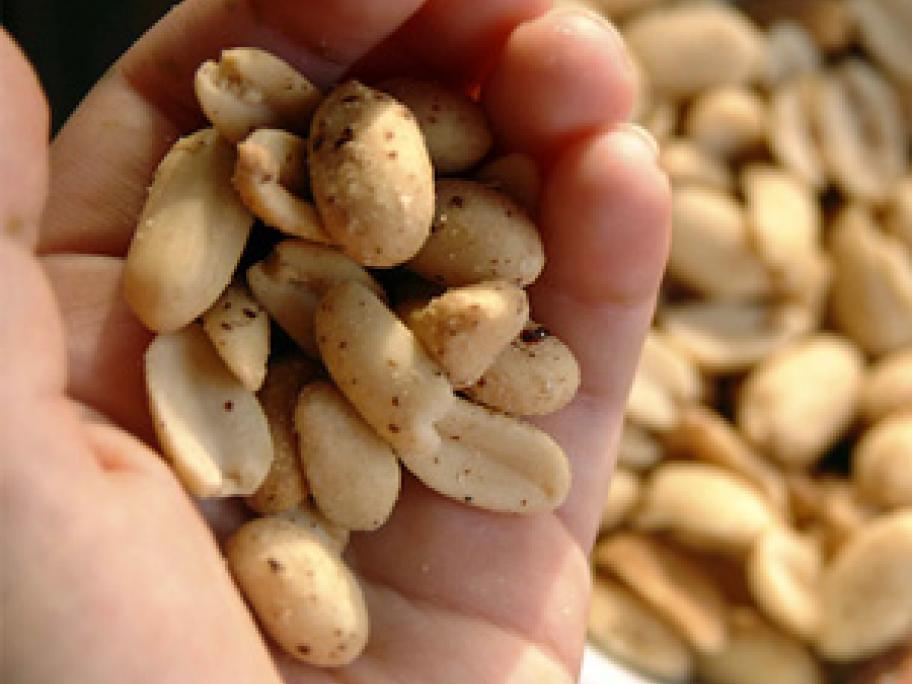 Peanuts