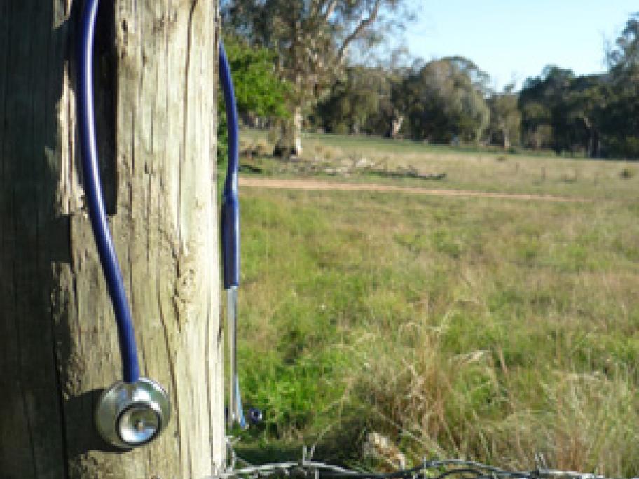 rural doctor
