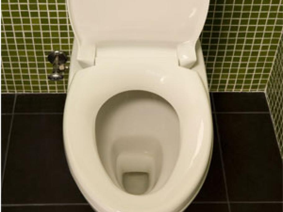 toilet