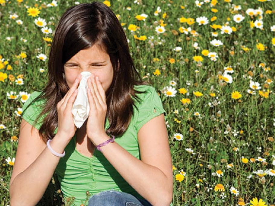 hayfever