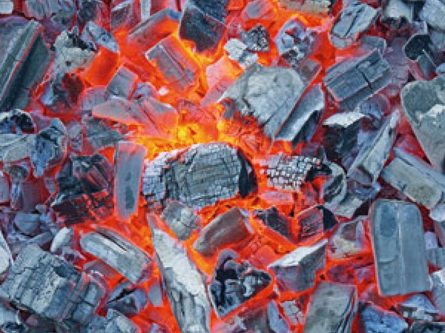 Coal