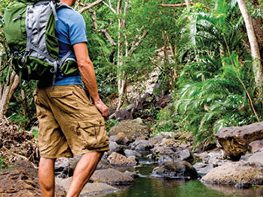Travel health