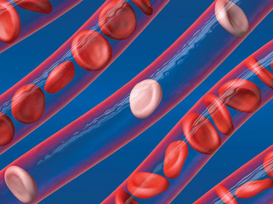red blood cells