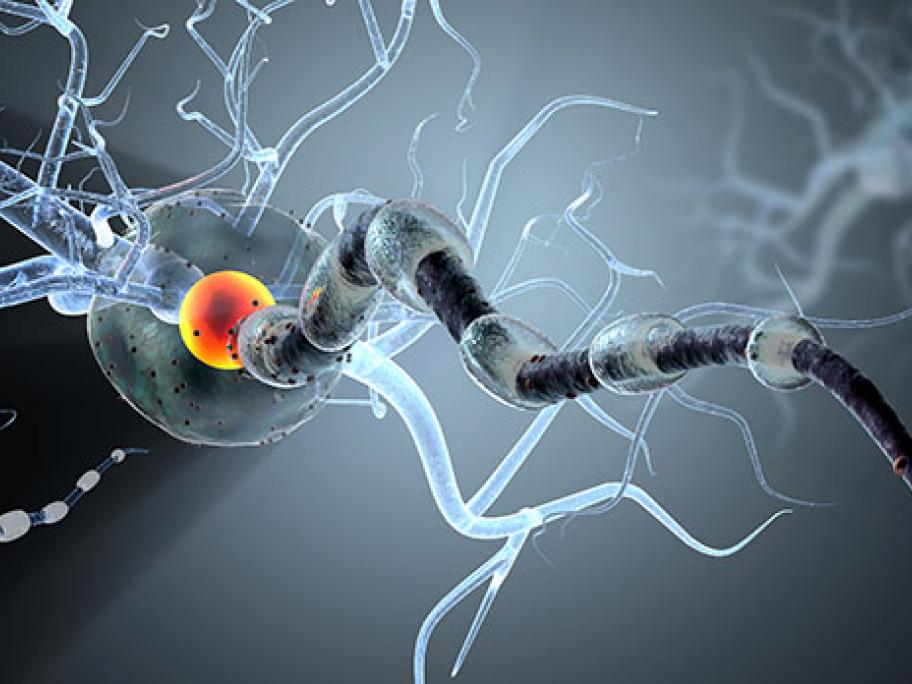brain action