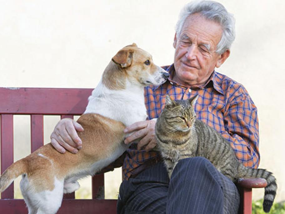 senior man and dog