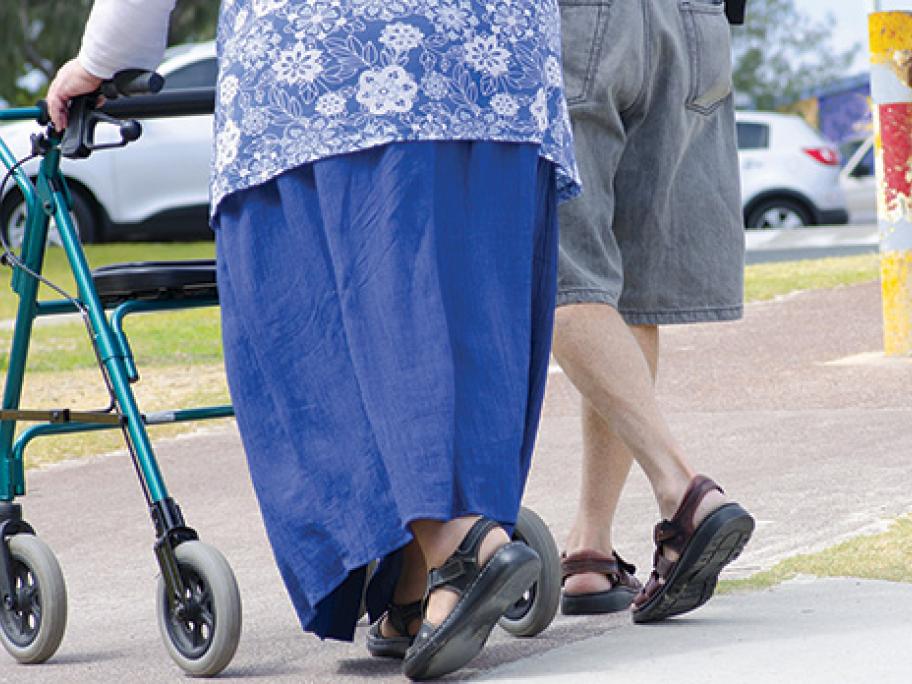 walking frame