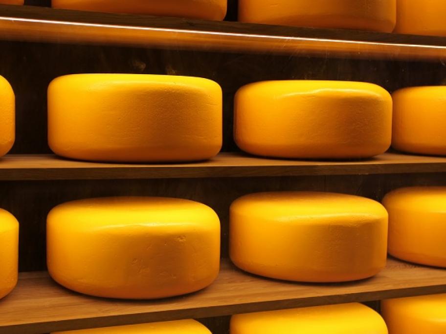 cheese