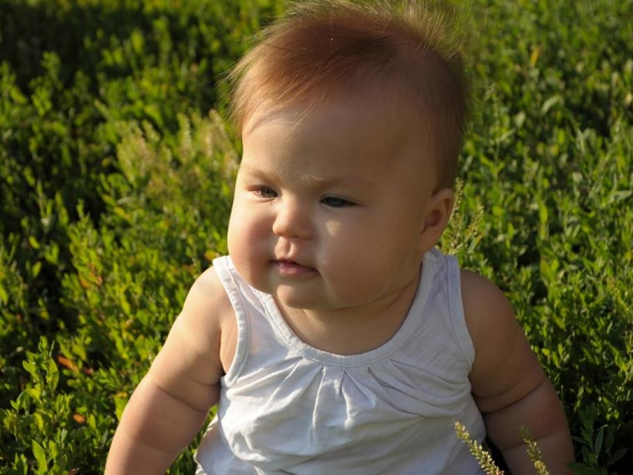 chubby baby