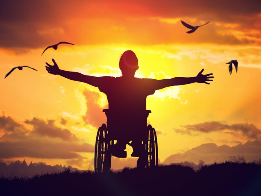 Disability